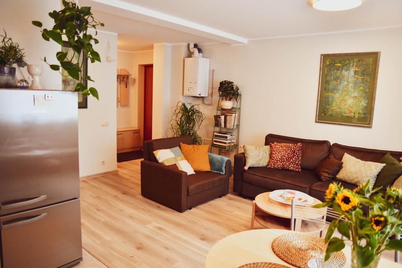 Central Park Apartment Birštonas المظهر الخارجي الصورة