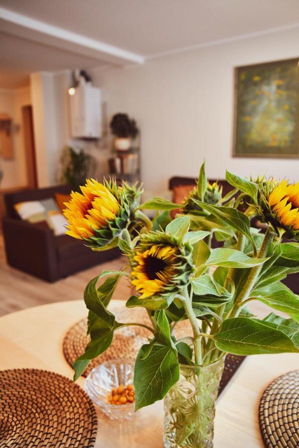 Central Park Apartment Birštonas المظهر الخارجي الصورة